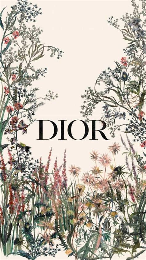 dior wallpaper|[200+] Dior Wallpapers 